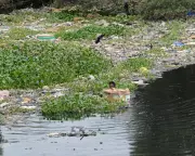 Global Plastic Crisis: Health Risks from Infancy to Old Age Revealed in Shocking Report
