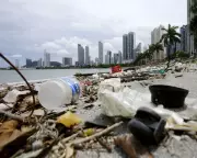 Global Plastic Pollution Crisis: Nations Clash Over Treaty Terms in Geneva