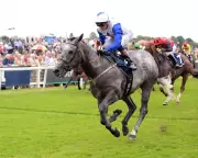 Grant Wood: The Dark Horse Ready to Shine at Ripon Handicap