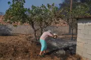 Greece Battles Devastating Wildfires as Heatwave Intensifies
