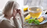 Green Tea's Brain-Boosting Secret: New Study Reveals Powerful Protection Against Alzheimer's Disease