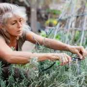 Green Thumb Alert: 5 Crucial Gardening Jobs You MUST Do This July for a Stunning Garden