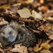 Green Thumb Alert: 7 Essential April Gardening Tasks You Can't Afford to Miss