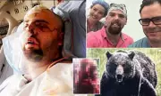 Grizzly Bear Attack Survivor's Harrowing Choice: 'Pick Up Pieces of My Own Face'