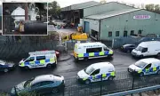 Gruesome Discovery: Man's Shredded Body Parts Found in Skip Yard Sparks Police Probe