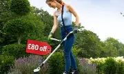 Gtech Cordless Grass Edge Trimmer: Grab This Exclusive Deal Before It's Gone!
