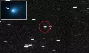 Harvard Astronomer's Bombshell Claim: Interstellar Object Headed For Earth May Be Alien Probe