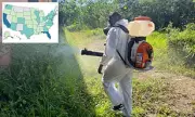 Hawaii on High Alert: Dengue Fever Risk for Travellers from Asia and Africa