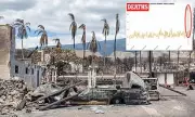 Hawaii Wildfire Tragedy: Final Lahaina Death Toll Confirmed at 101 After Year-Long Investigation
