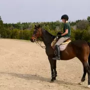 Heartbreaking Farewell: Woman Prepares to Say Goodbye to Her Beloved Pet After 16 Years