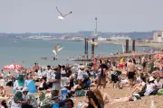 Heatwave Havoc: UK Rail Network Buckles Under Scorching Staycation Surge