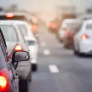 Hero Driver Halts M25 Traffic to Rescue Stranded Animal in Daring Motorway Rescue | UK News