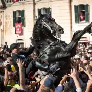 Horror at Westminster: Tourist's Finger Torn Off by Parade Float in Shocking Incident
