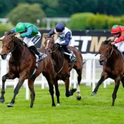 Horse Racing Faces Unprecedented Strike Over Prize Money Dispute