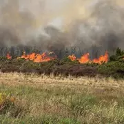 Huge Fire Erupts at Holt Heath Industrial Estate – Major Incident Declared