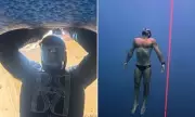 Human Aquatic Marvel: Diver Shatters World Record by Holding Breath for Staggering 24 Minutes