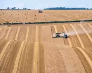 Human Waste Transformed into Biochar Could Tackle Global Fertiliser Crisis, Study Reveals