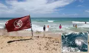 Hurricane Erin Intensifies: Storm Warning Issued for UK East Coast