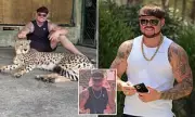 Ibiza 'Final Boss' Sparks Outrage After Posting Video with Sedated Cheetah in Phuket