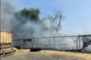 ICE Office in Washington Targeted in Suspected Arson Attack – Authorities Investigate