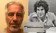 Jeffrey Epstein's UK Crime: Bizarre Swordstick Cane Seized as Deadly Weapon