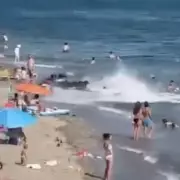 Jet Ski Chaos in Westminster: Reckless Rider Narrowly Avoids Disaster on Thames