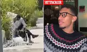 Jewish Father Brutally Attacked in Canadian Park as Children Watch in Horror