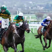 JP McManus's Gold Cup Dream: Galopin Des Champs Aims for Historic Third Win at Cheltenham Festival 2025