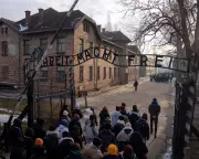 Juergen Teller's Auschwitz Book Sparks Debate: Can Art Truly Confront the Holocaust?