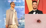 Justin Timberlake's Lyme Disease Battle: Celebrities Raising Awareness on the Tick-Borne Illness