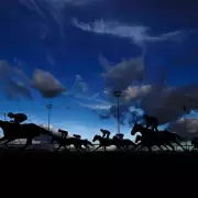 Kempton & Catterick Racing Tips: Newsboy's Wednesday NAPs Revealed