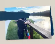 Lana's Dilemma: Forced to Choose Between Australia and the Iran She Fled