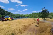 London Fire Brigade Battles Blaze on Wanstead Flats Amid Heatwave