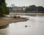 London's 'Wet Wipe Island': How Plastic Pollution is Choking the Thames Near Hammersmith Bridge