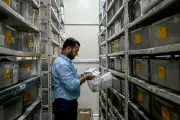 Major Fake Medicine Scandal Uncovered in Delhi: Johnson & Johnson and GSK Among Counterfeit Targets
