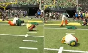 Mascot Mayhem: Westminster College Football Mascot's Head Tumbles Off in Spectacular Sideline Fail
