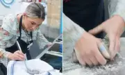 MasterChef UK Viewers Fume Over 'Unhygienic' Kitchen Blunder: 'It's A Health Hazard!'