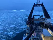 Melting Ice, Crumbling Shells: What Scott's Antarctic Expedition Reveals About Our Oceans Today