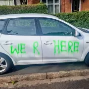 Mindless Vandals Wreak Havoc: 41 Cars Damaged in Shocking Spree