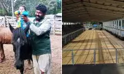 Miracle Toddler Survives Terrifying Bull Stampede at Rodeo – Incredible Footage