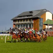 Monday's Racing Gold: The Newsboy's Unmissable Tips for Plumpton, Wolverhampton & Windsor