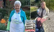 Mosman Council Housing Scandal: Elderly Woman Faces Eviction Over Alleged 'Unauthorised' Renovations
