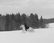 Mother Vera Review: A Heart-Wrenching Masterpiece of Maternal Fortitude