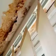 Mum's Temporary Accommodation Horror: Black Mould, Mice Infestation, and a Plea for Help