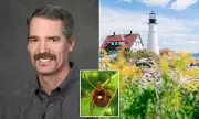 Mysterious Tick-Borne Illness Strikes Martha's Vineyard: The Rise of Alpha-Gal Syndrome Among Vegans