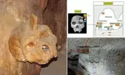 Mystery of the Cursed Skull: Baffled Scientists Stumped by Non-Human Cranium Fused to Cave Wall