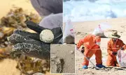 Mystery on the Central Coast: Bizarre 'Debris Balls' Wash Ashore Sparking Environmental Investigation