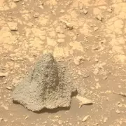 NASA's Curiosity Rover Spots Bizarre Bone-Like Object on Mars – What Is It?