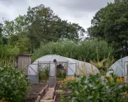 Nature, Respect & Work: The UK's Radical New Blueprint to Slash Prison Reoffending