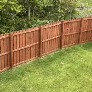 Neighbour Dispute Over Garden Fence Ends in Court – Here's What Happened